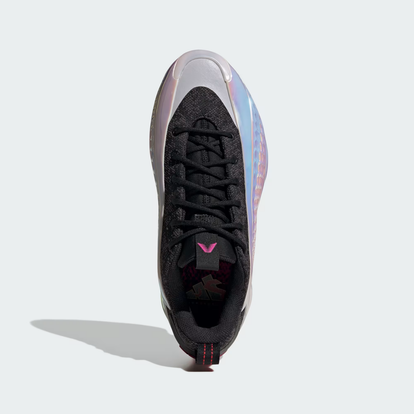 AE1 1  Low Trainers  "Year of the Snake"
