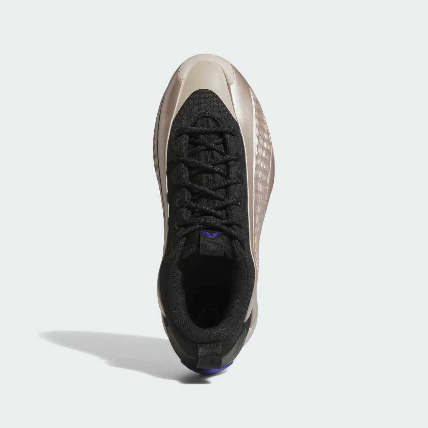 AE1 Low Trainers "Champagne"