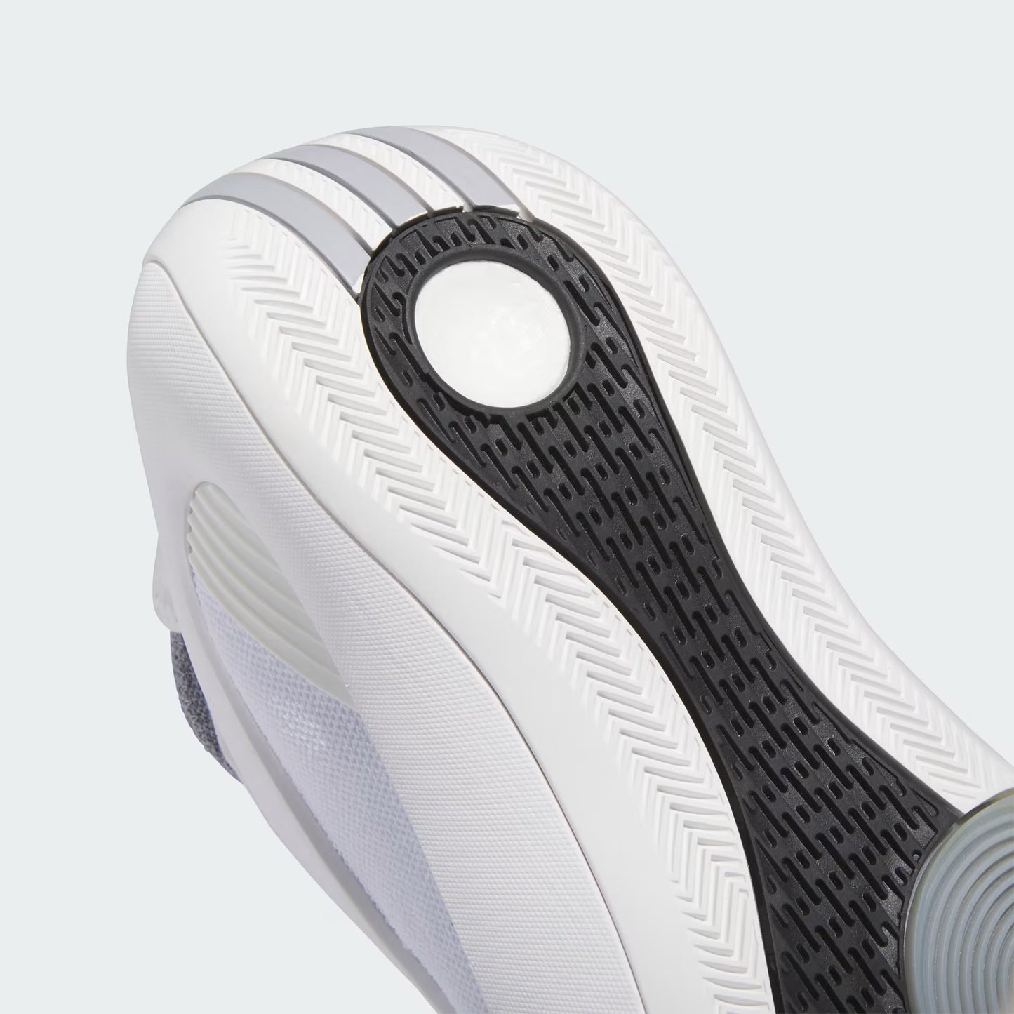 Harden Volume 8 'Pure White'