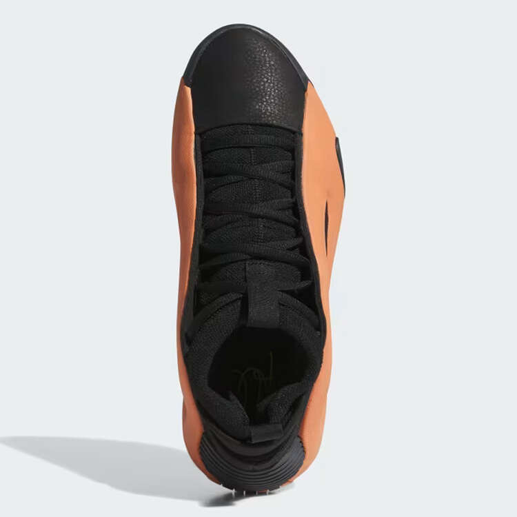 Harden Volume 8 'Sculpt'